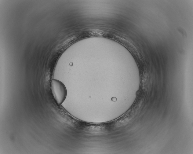 X0000110970314200907171716