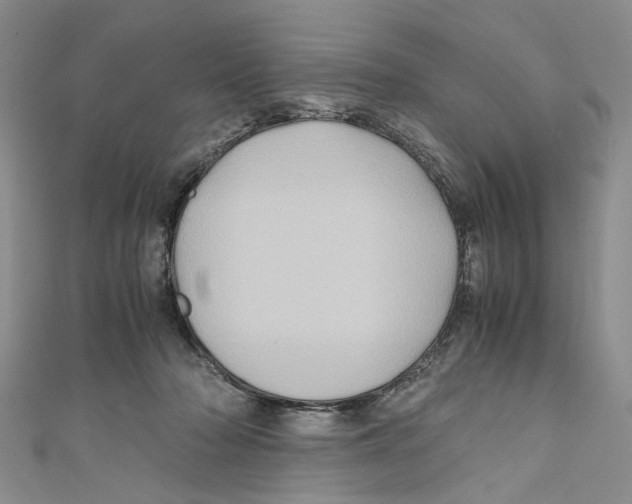 X0000110970318200907171716