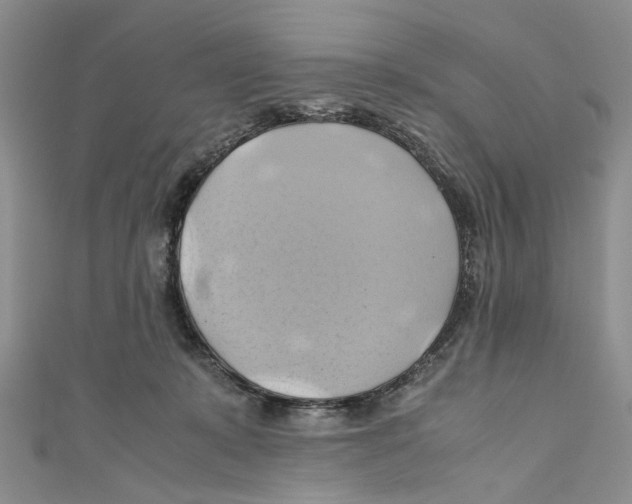 X0000110970319200907171716