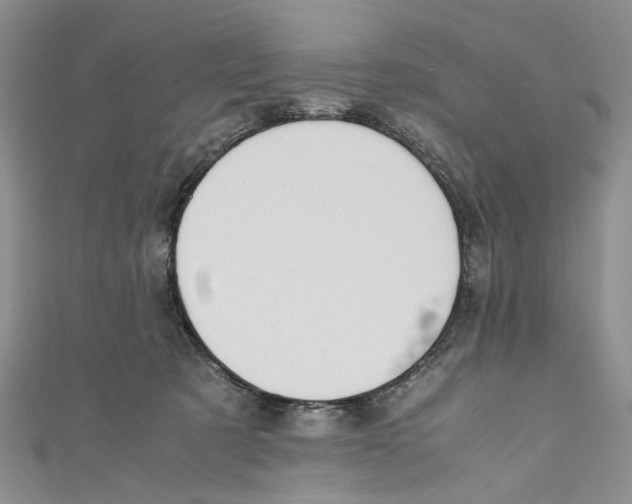 X0000110970321200907171716