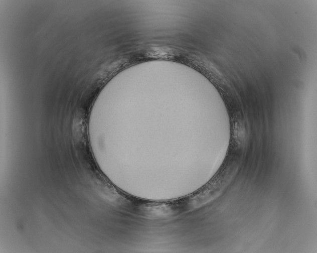 X0000110970322200907171716