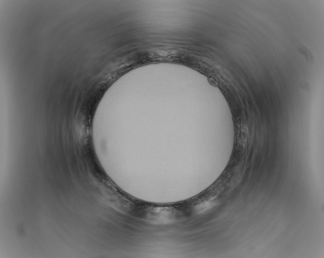 X0000110970324200907171716