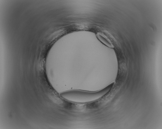 X0000110970325200907171716