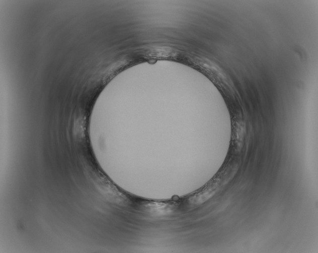 X0000110970326200907171716