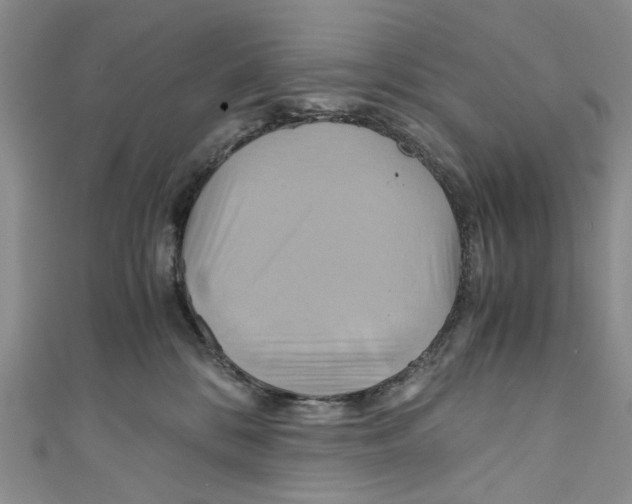 X0000110970328200907171716