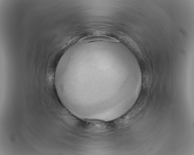 X0000110970329200907171716