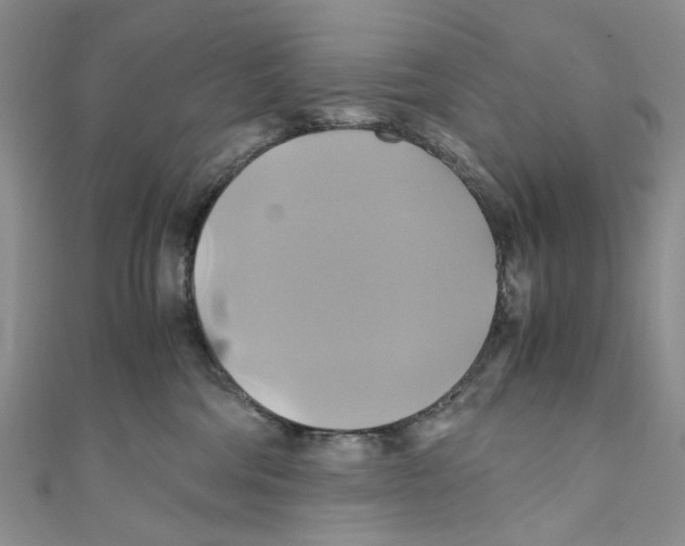X0000110970330200907171716