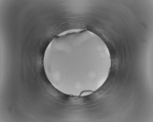 X0000110970331200907171716