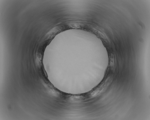X0000110970332200907171716