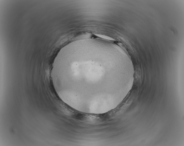 X0000110970333200907171716