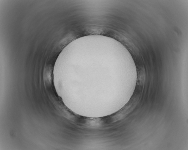 X0000110970334200907171716
