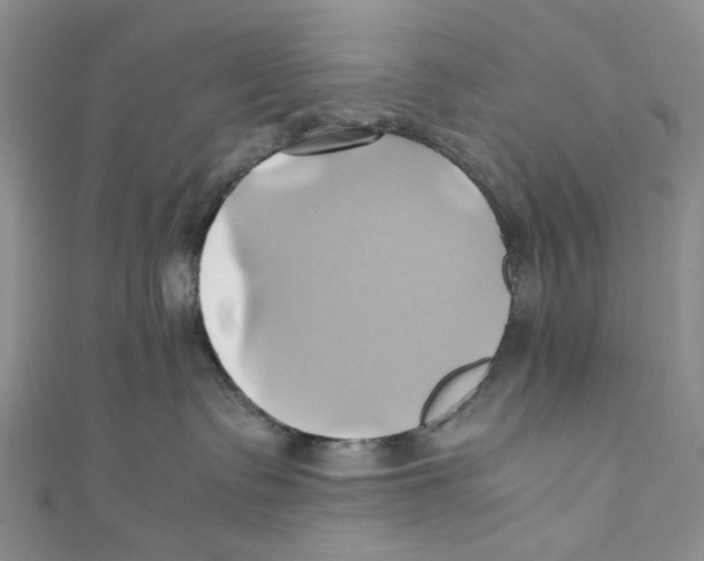 X0000110970335200907171716