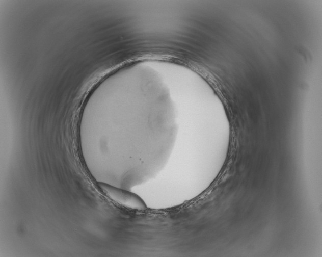 X0000110970337200907171715