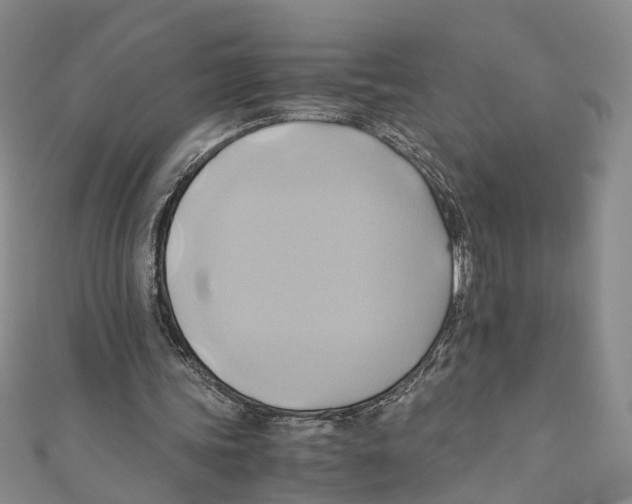 X0000110970339200907171715