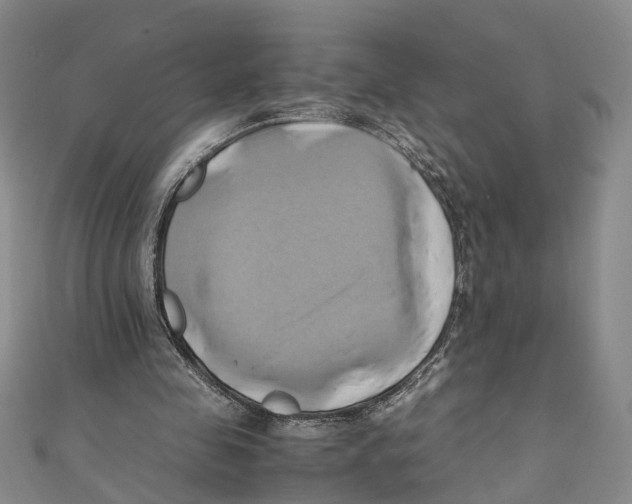 X0000110970341200907171715