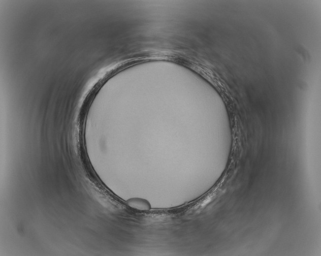 X0000110970342200907171715
