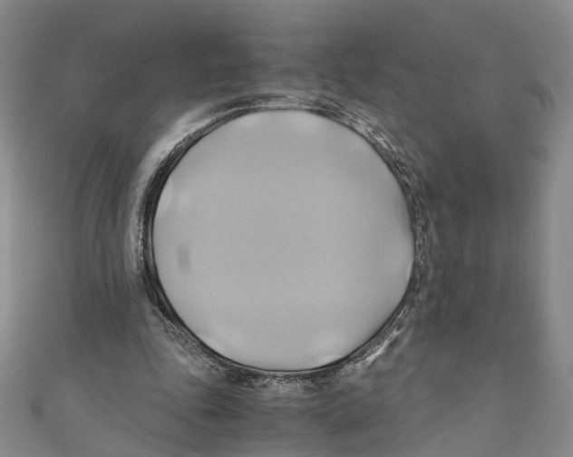 X0000110970343200907171715