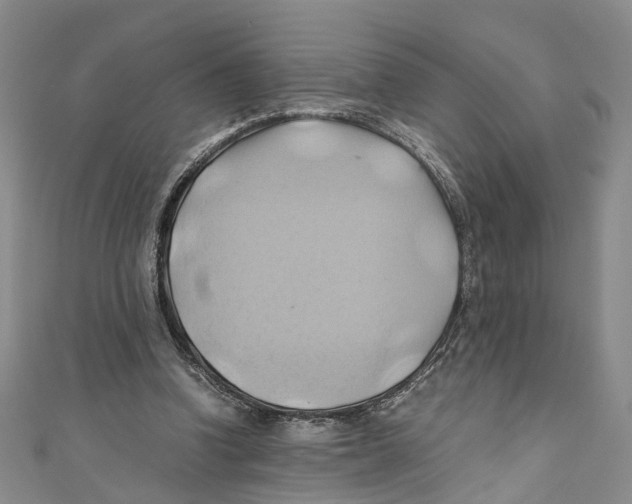 X0000110970346200907171715