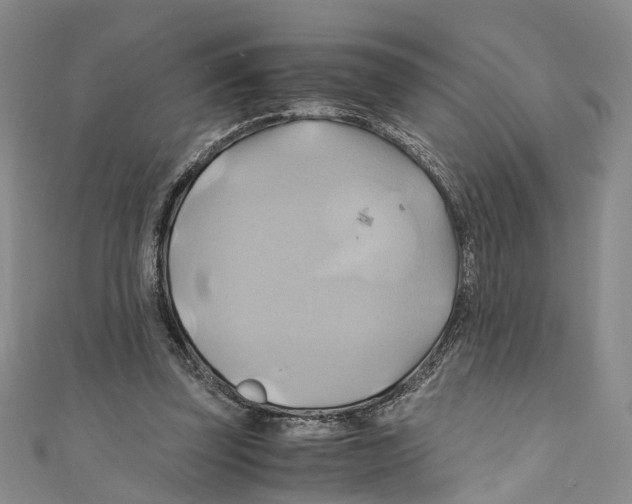 X0000110970347200907171715