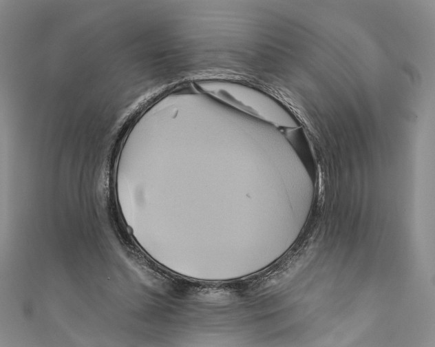 X0000110970348200907171715