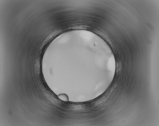 X0000110970349200907171715