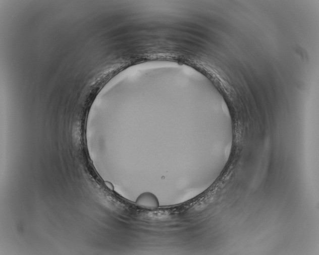 X0000110970353200907171715