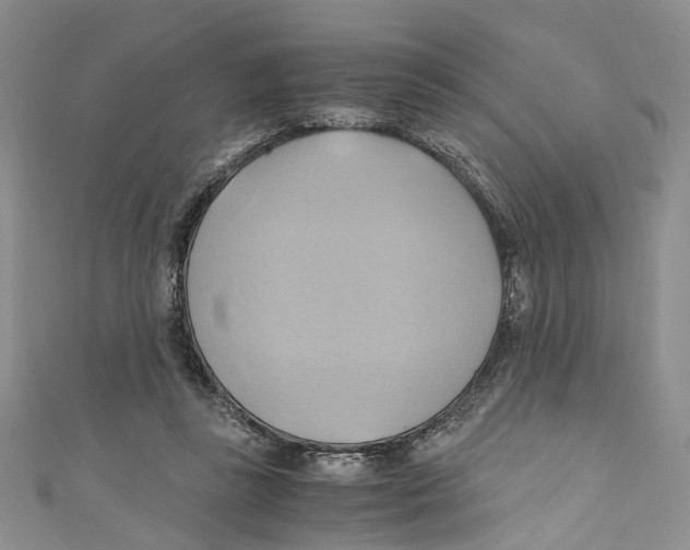 X0000110970355200907171716