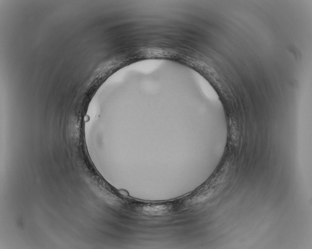 X0000110970357200907171716