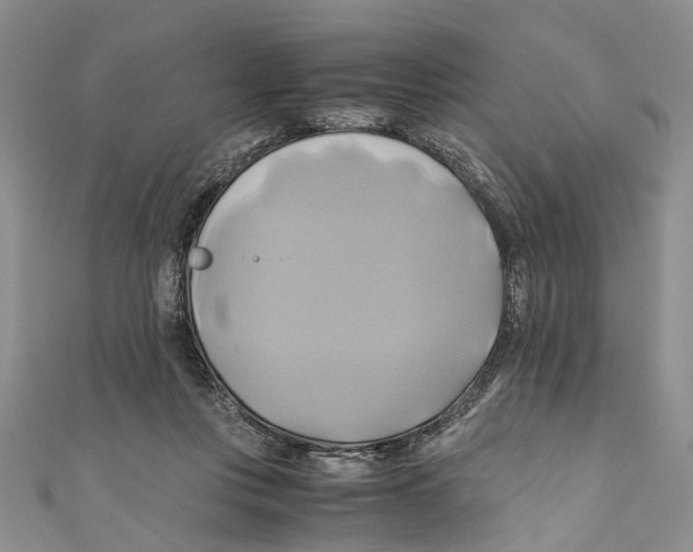 X0000110970359200907171716