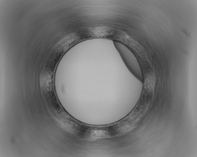 X0000110970360200907171716