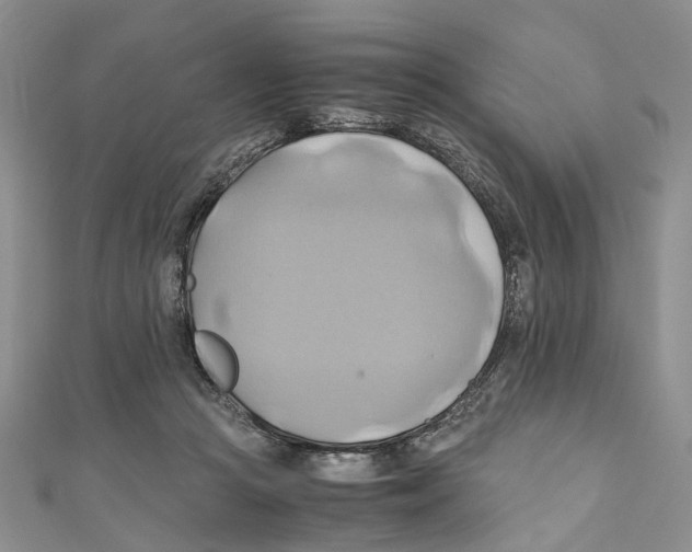 X0000110970361200907171716