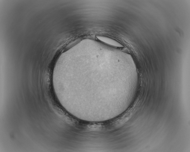 X0000110970362200907171716