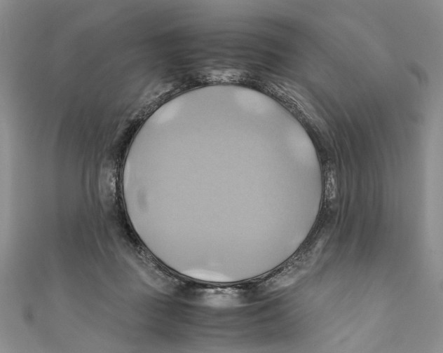 X0000110970363200907171716