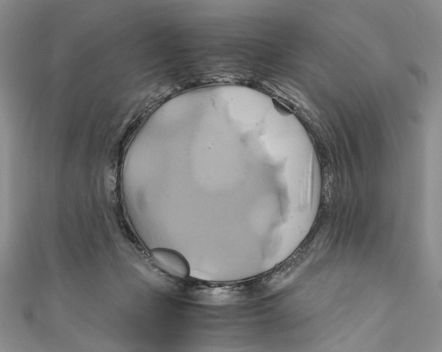 X0000110970365200907171716