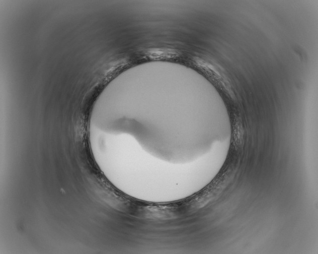 X0000110970367200907171716