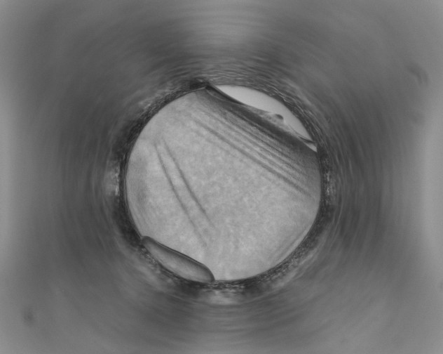 X0000110970368200907171716