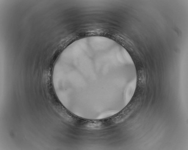 X0000110970369200907171716
