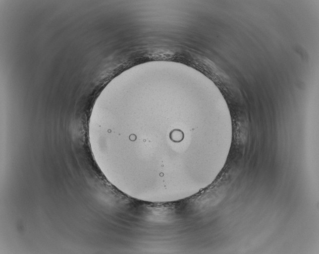 X0000110970370200907171716