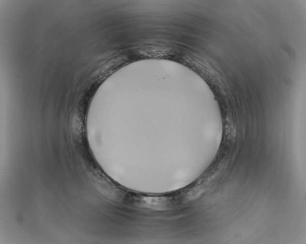 X0000110970371200907171716