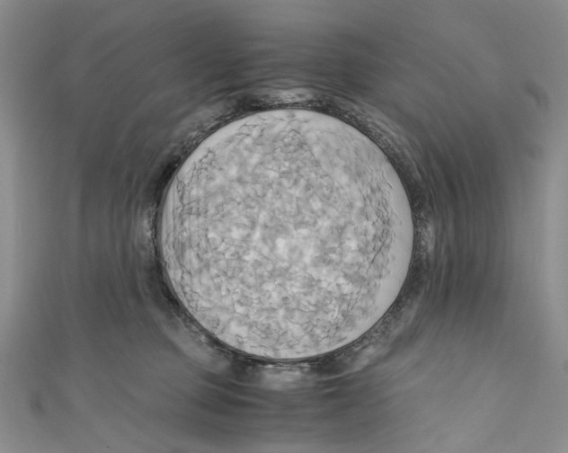 X0000110970373200907171716
