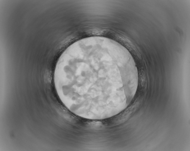 X0000110970374200907171716