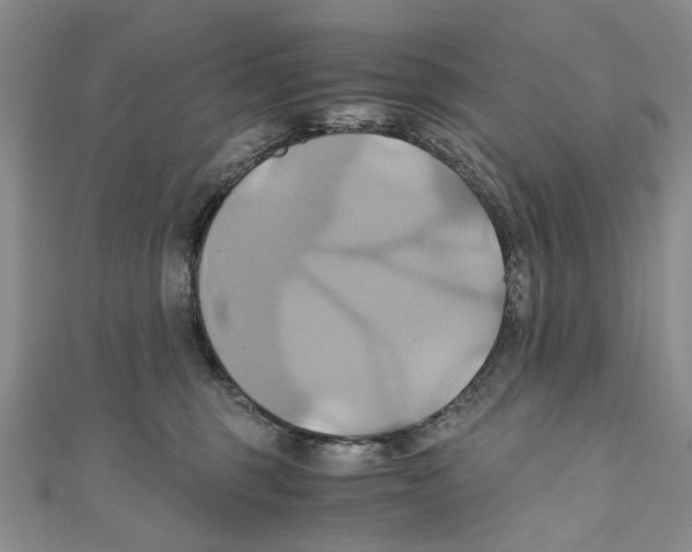 X0000110970375200907171716