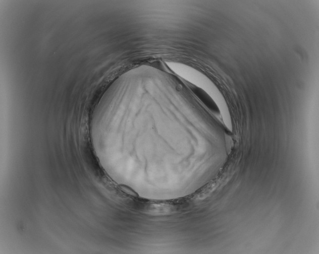 X0000110970376200907171716