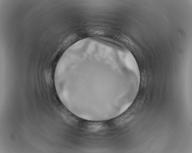 X0000110970377200907171716