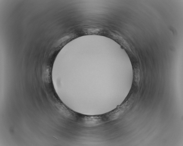 X0000110970378200907171716