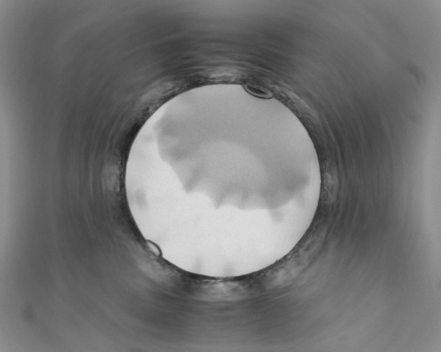 X0000110970379200907171716