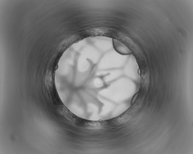 X0000110970381200907171716