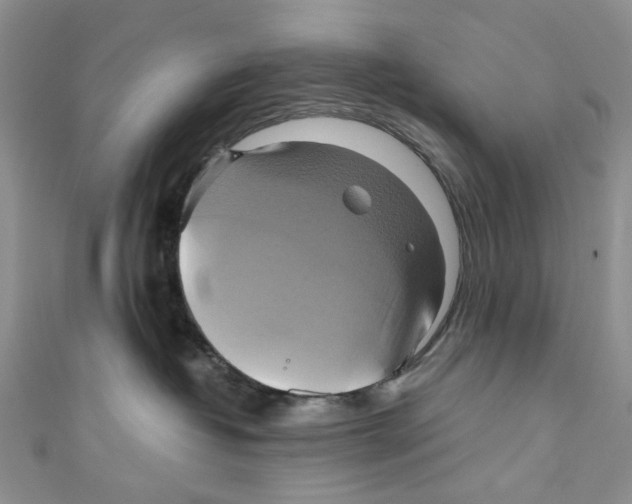 X0000110970382200907171716