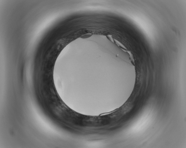 X0000110970383200907171716