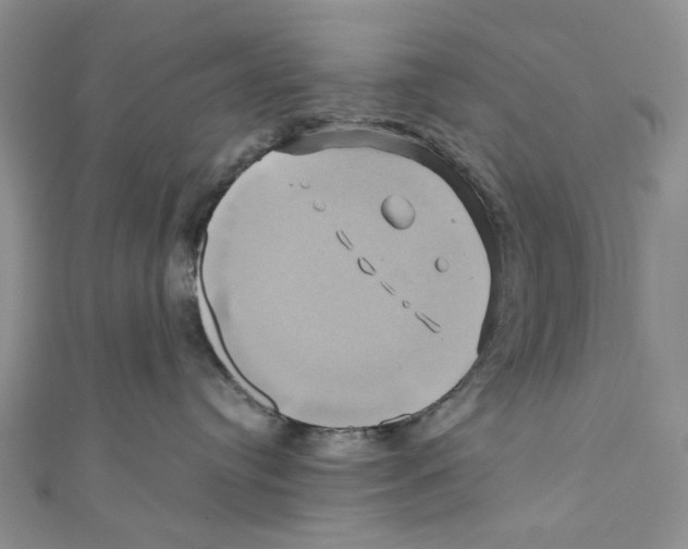 X0000110970384200907171716